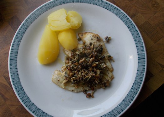 scholle_champignon_15