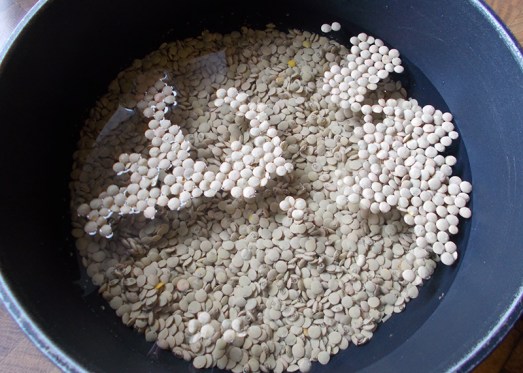 ... mehrere Stunden (am besten über Nacht) in Wasser einweichen.