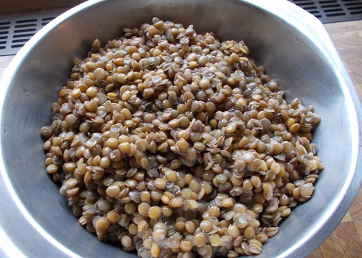 Mit frischem Wasser kochen, bis die Linsen weich sind (ca. 20. min). Kochwasser abgießen.