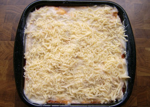 Lasagne_3