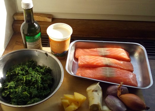 lachs_spinat_1