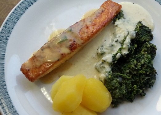 lachs_spinat_11