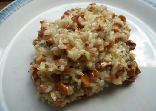 risotto_eierschwammerl_16