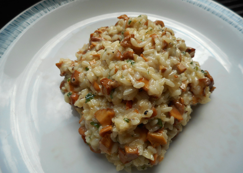 risotto_eierschwammerl_17