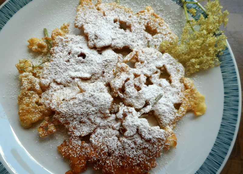 geb_hollerblueten_13