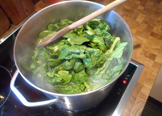 Spinat_pochiertes_Ei_2