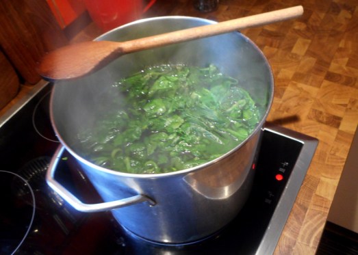 Spinat_pochiertes_Ei_3