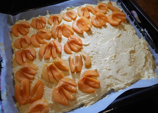 Marillenkuchen_14