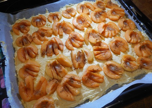 Marillenkuchen_15