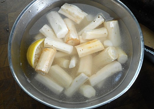 schwarzwurzel_kaesesauce_2