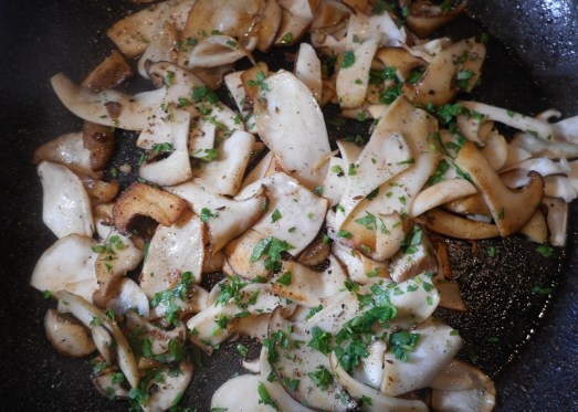 geschnetzeltes_seitlinge_8