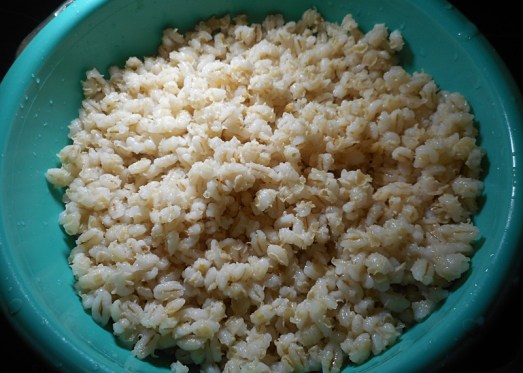 Graupenrisotto_Lachs_2