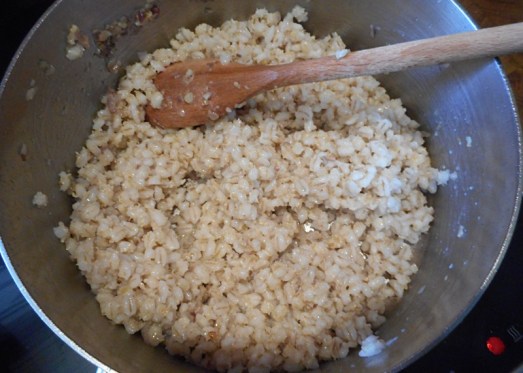 Graupenrisotto_Lachs_5