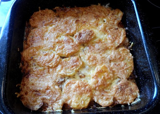 Eierschwammerl_Kart_Auflauf_17