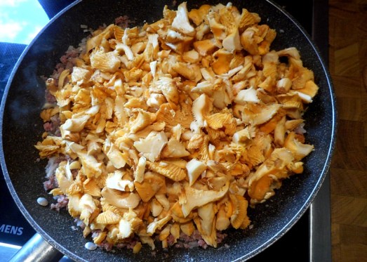 Eierschwammerl_Kart_Auflauf_7